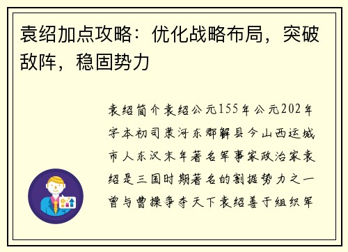 袁绍加点攻略：优化战略布局，突破敌阵，稳固势力